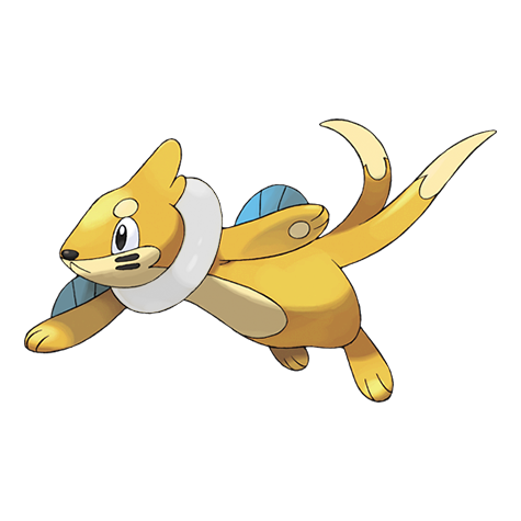 Buizel w wariancie shiny