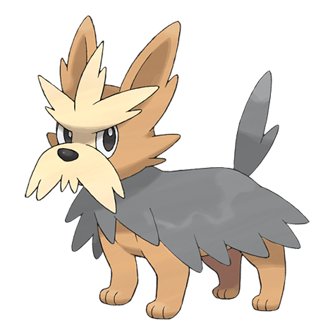 Herdier w wariancie shiny
