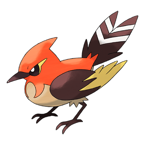 Fletchinder w wariancie shiny
