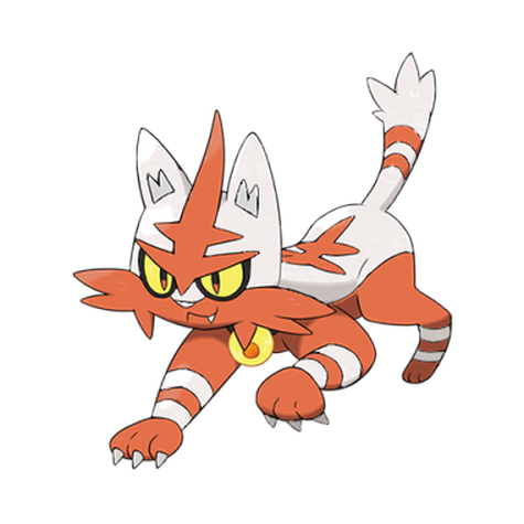 Torracat w wariancie shiny