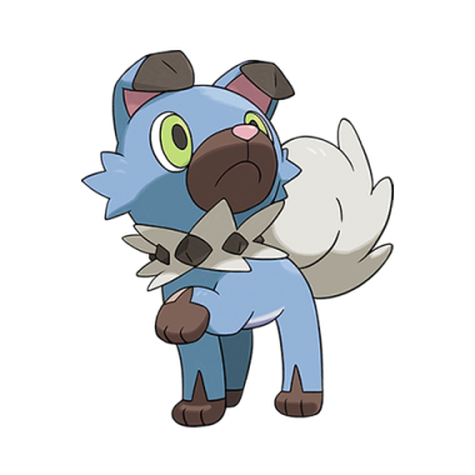 Rockruff w wariancie shiny
