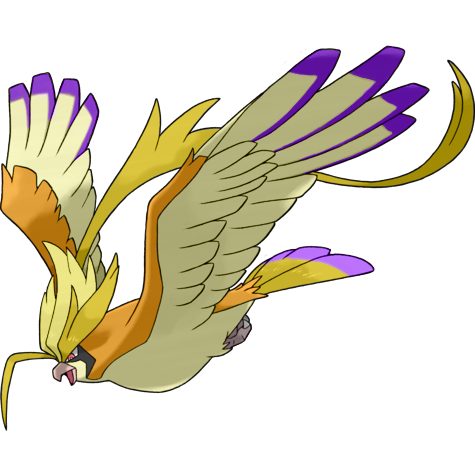 Pidgeot (Mega) w wariancie shiny