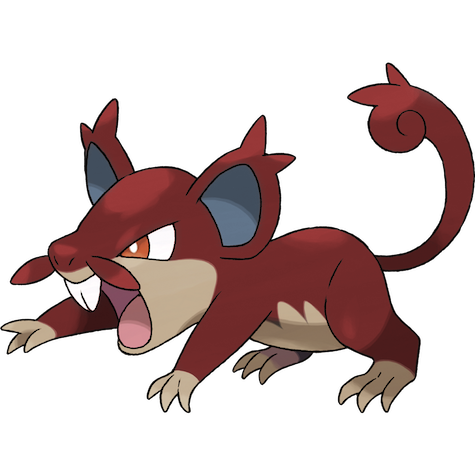 Rattata (z Aloli) w wariancie shiny