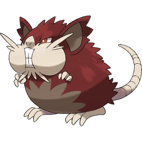Raticate (Totem z Aloli) w wariancie shiny
