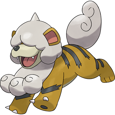 Growlithe (z Hisui) w wariancie shiny