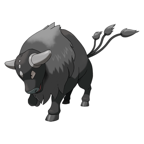 Tauros (z Paldei Combat Breed) w wariancie shiny