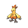Combusken — mały pikselowy sprite w wariancie shiny