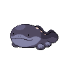 Clodsire — mały pikselowy sprite w wariancie shiny