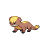 Yungoos — mały pikselowy sprite w zwykłym ubarwieniu