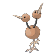 Doduo