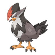 Staraptor
