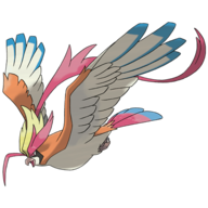 Pidgeot (Mega)