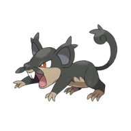 Rattata (z Aloli)