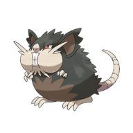 Raticate (z Aloli)