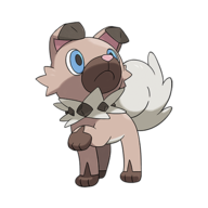 Rockruff (Own Tempo)
