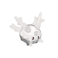 Corsola (z Galaru)