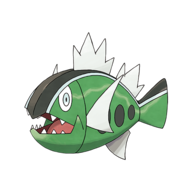 Basculin (White Striped)