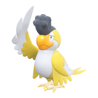 Squawkabilly (Yellow Plumage)