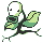 Bellsprout w grze Pokemon Yellow