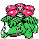 Venusaur w grze Crystal