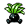 Oddish w grze Pokemon Crystal