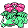 Venusaur w grze Gold