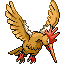 Fearow w grze Emerald