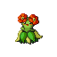 Bellossom w grze Emerald