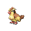 Pidgey w grze Pokemon FireRed