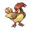 Pidgeotto w grze Pokemon FireRed