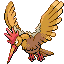 Fearow w grze Pokemon FireRed