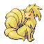 Ninetales w grze FireRed / LeafGreen