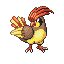 Pidgeotto w grze Ruby / Sapphire