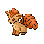 Vulpix w grze Pokemon Ruby