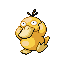 Psyduck w grze Pokemon Ruby