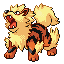 Arcanine w grze Ruby / Sapphire