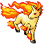 Rapidash w grze Ruby / Sapphire