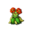 Bellossom w grze Ruby / Sapphire