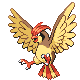 Pidgeotto w grze Diamond / Pearl