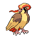 Pidgeot w grze Diamond / Pearl