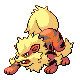 Arcanine w grze Diamond / Pearl