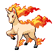 Rapidash w grze Diamond / Pearl