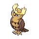 Noctowl w grze Pokemon Pearl