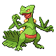 Sceptile w grze Diamond / Pearl