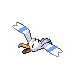Wingull w grze Diamond / Pearl