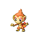 Chimchar w grze Diamond / Pearl