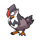 Staraptor w grze Diamond / Pearl