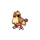 Pidgey w grze Pokemon HeartGold