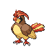 Pidgeotto w grze Pokemon HeartGold