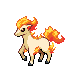Ponyta w grze Pokemon HeartGold